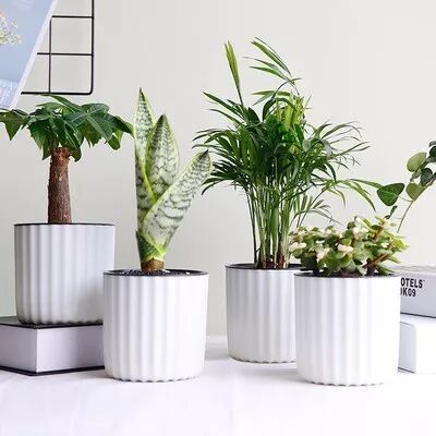 居家必備清潔神器，可撕式黏毛器1手柄+3卷紙只要7.9元！ 家居 第37張