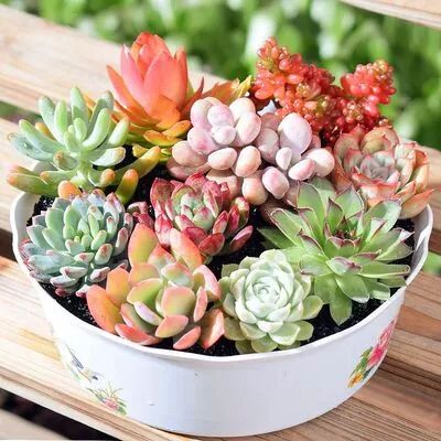 居家必備清潔神器，可撕式黏毛器1手柄+3卷紙只要7.9元！ 家居 第13張