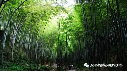 点击查看源网页