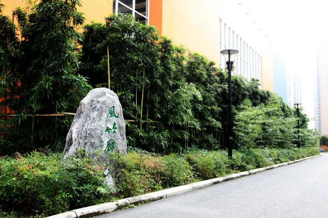 教育之声·展形象 | 正道力行方致远，一行一辙尽华章——走进苏辙小学