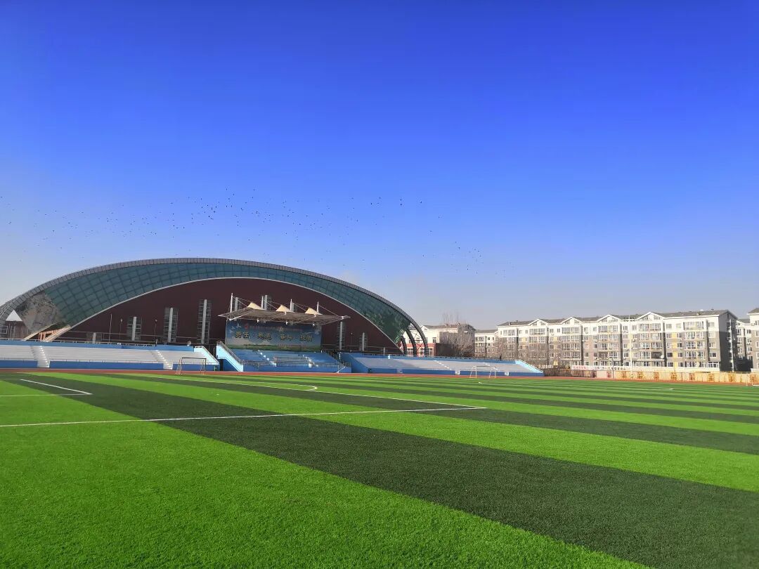 沈阳市第五十六中学:陪你扬帆起航,伴你乘风破浪