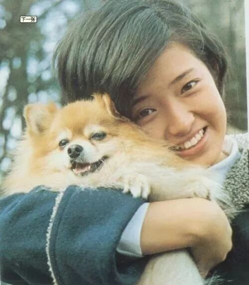 音乐记忆 伊豆的舞女 永远的山口百惠 专栏文章 网易云音乐