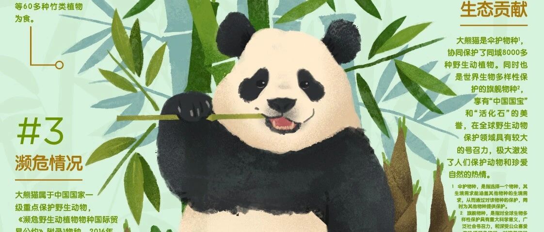 吃完月饼，再来一碗黑芝麻汤圆！