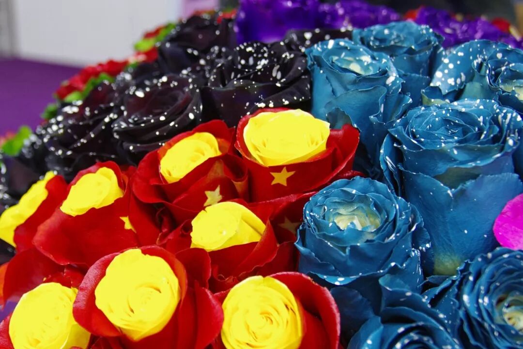 厄瓜多爾玫瑰的空中 速遞 新華國際頭條 微文庫