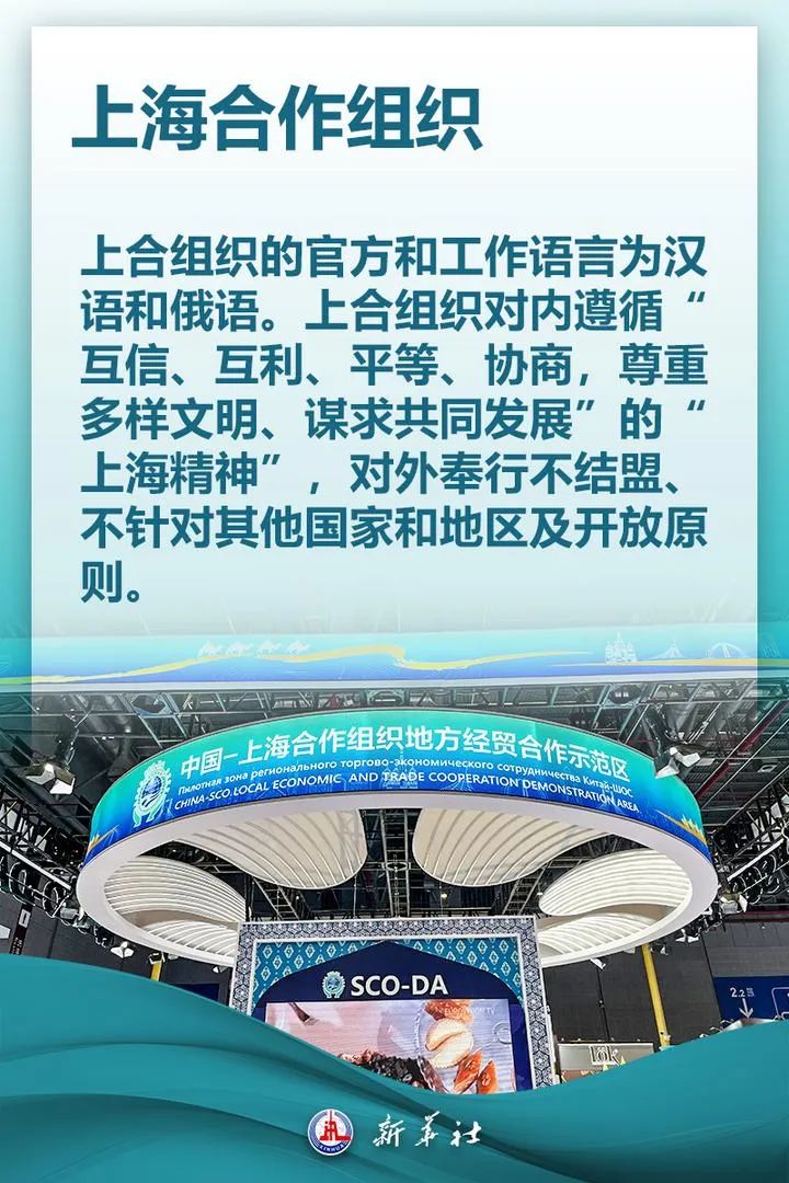 关于上合组织你想知道的都在这里