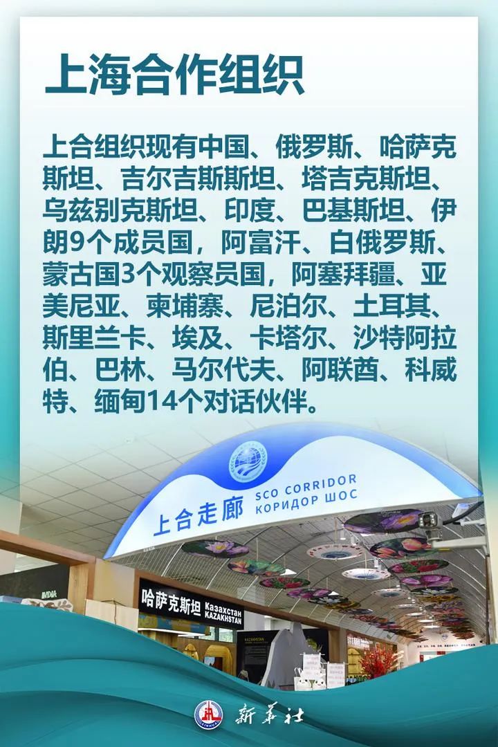 关于上合组织你想知道的都在这里