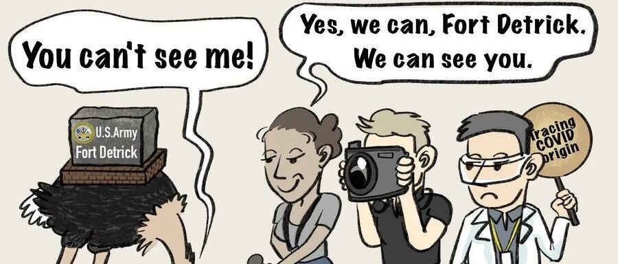 抗疫不力，“甩锅”中国？！看国社画手如何拆穿美国政客“昏招”