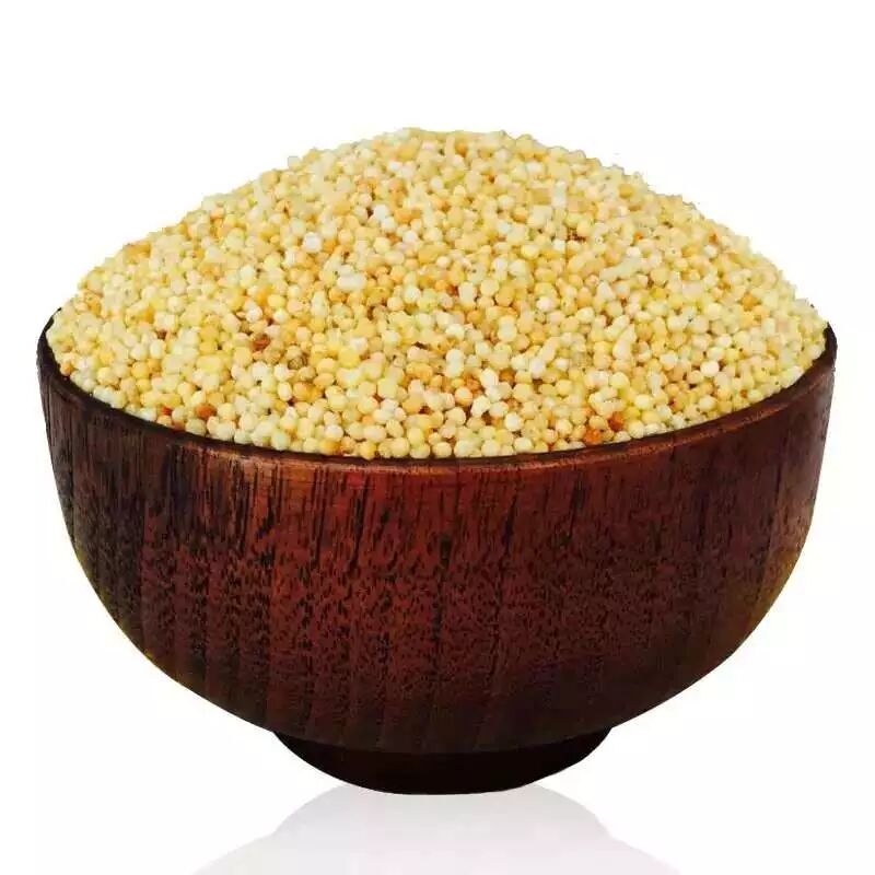 三种人不宜喝炒米茶_喝炒米茶的好处_炒米茶禁忌