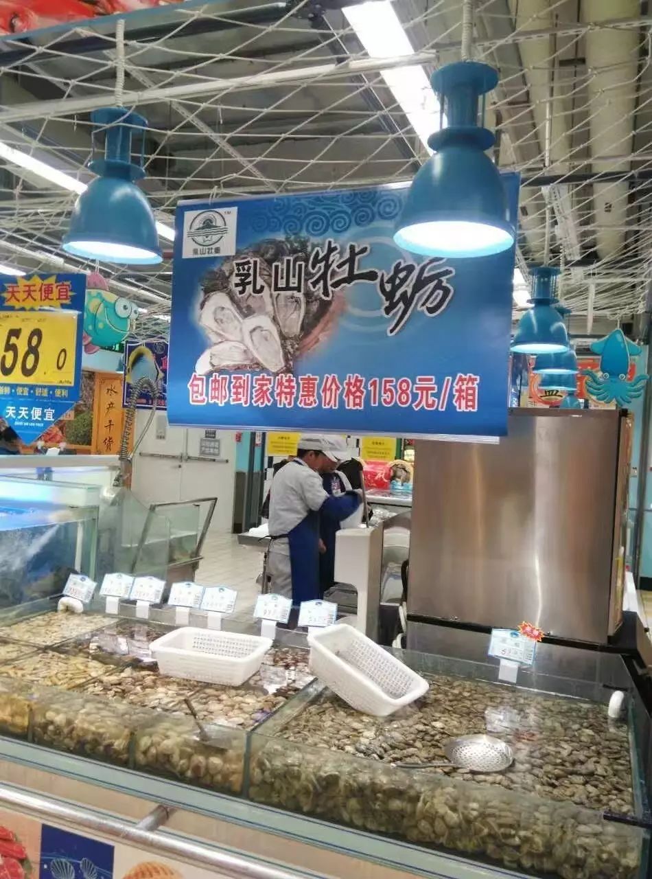 乐山贝类批发价联盟,生蚝,今年春节礼尚往来的新时尚