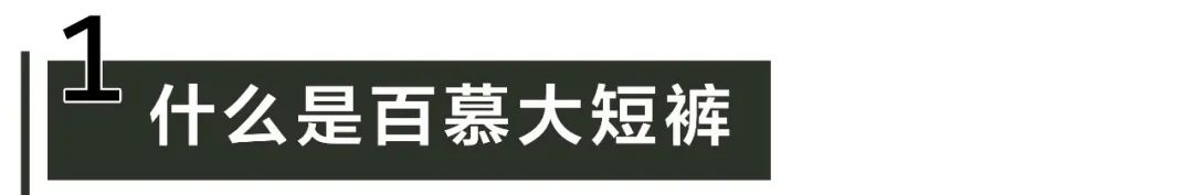 時髦精特供，給你10000個理由pick百慕大短褲！ 時尚 第3張