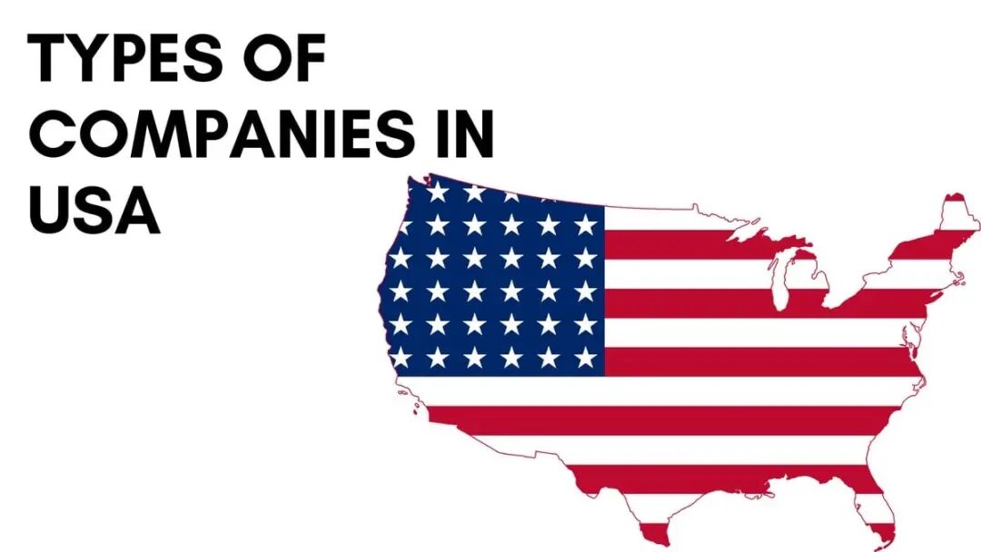 5 Main Types of Companies in the US by their Legal Structure