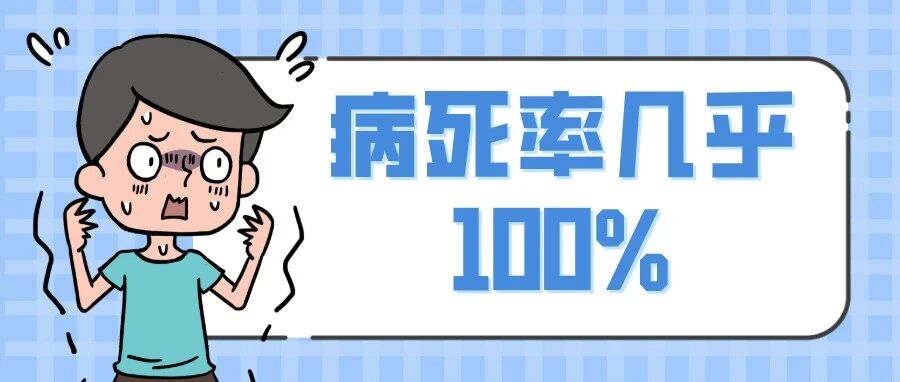 有一种病死率几乎100%的传染病，需要我们关注！