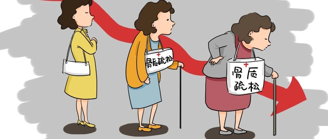 老年人的骨质疏松问题，看这一篇就够了！