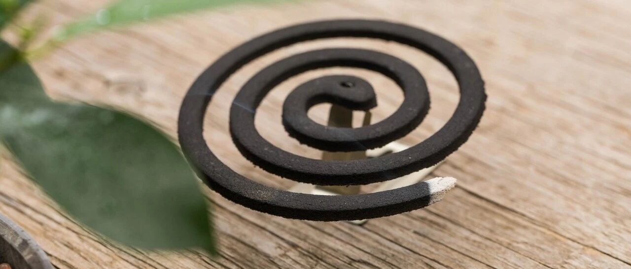 孩子总被蚊虫叮？来看防虫小妙招！