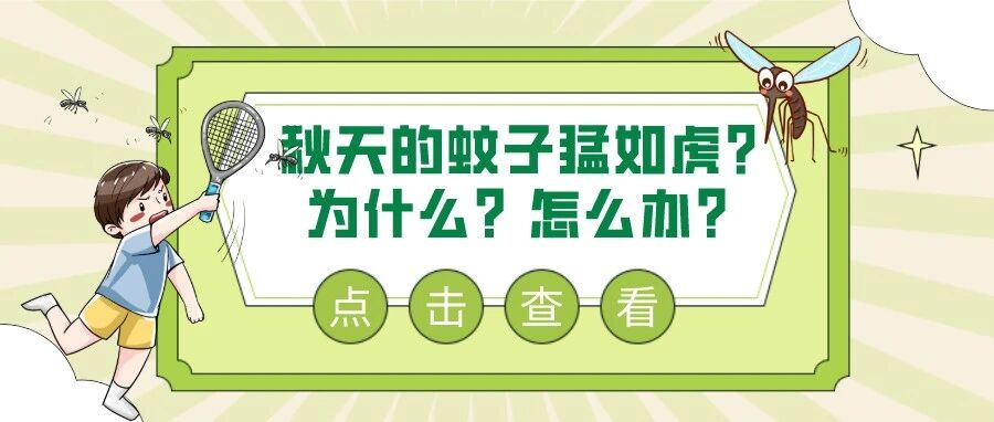 为什么秋天的蚊子猛如虎？这些防蚊技巧，快收好
