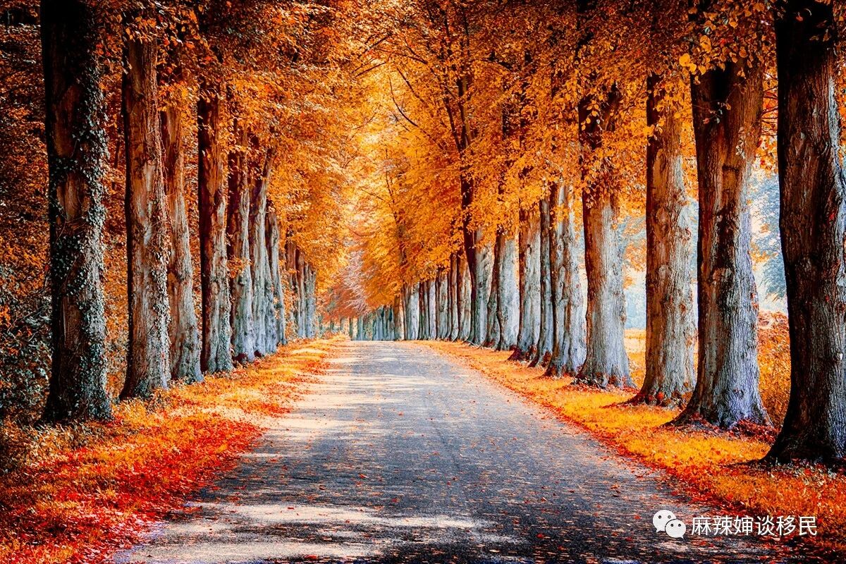 加拿大AIPP雇主移民项目：门槛低，职位多，趁早申请！