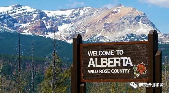 加拿大阿尔伯塔雇主担保移民优质雇主，性价比超高项目！