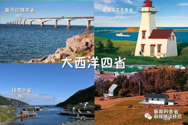 最受欢迎的AIPP雇主移民项目：加拿大目前门槛最低，速度最快！