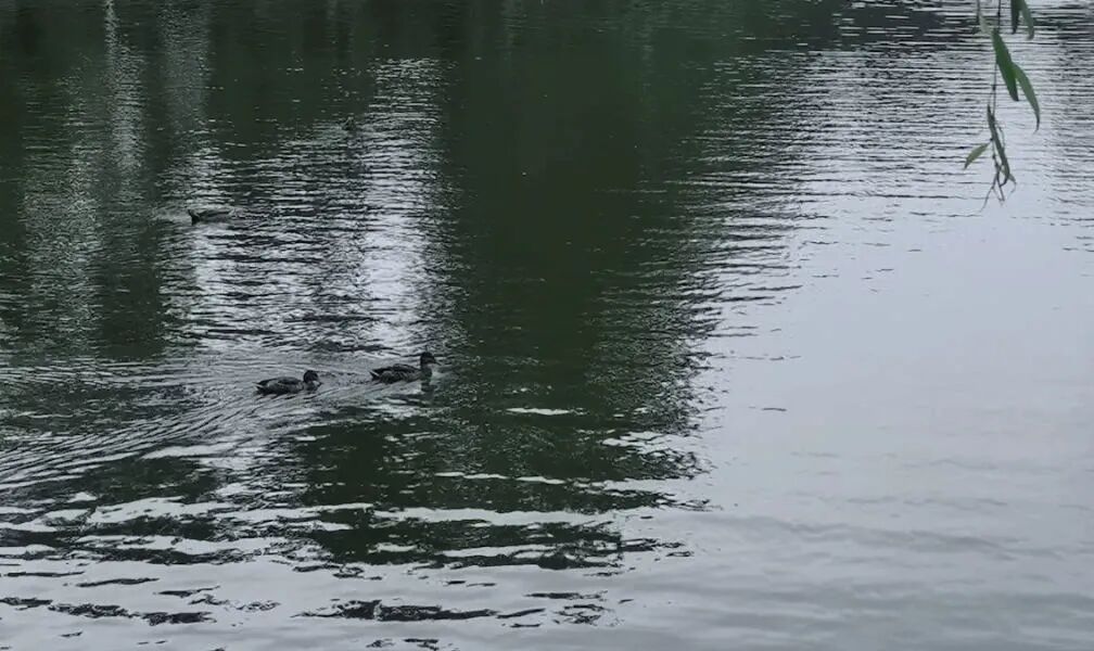 李商隐的“巴山夜雨时光”