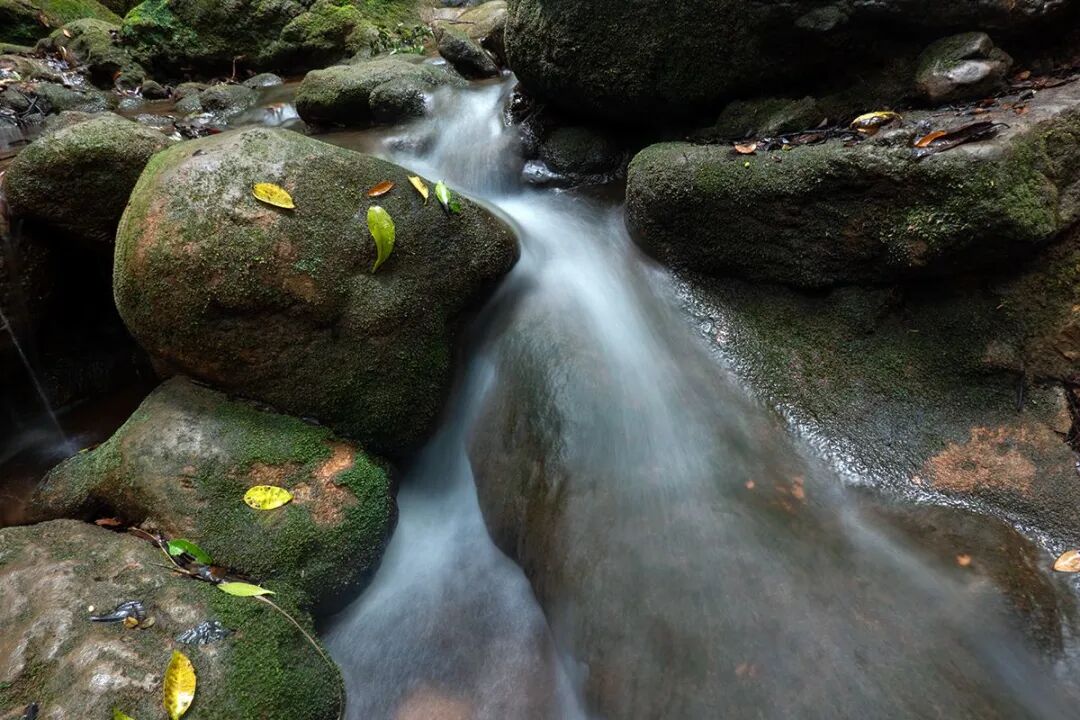 玉溪高古楼网友@闲人张生图源/玉溪高古楼网友@闲人张生白龙潭扔靠