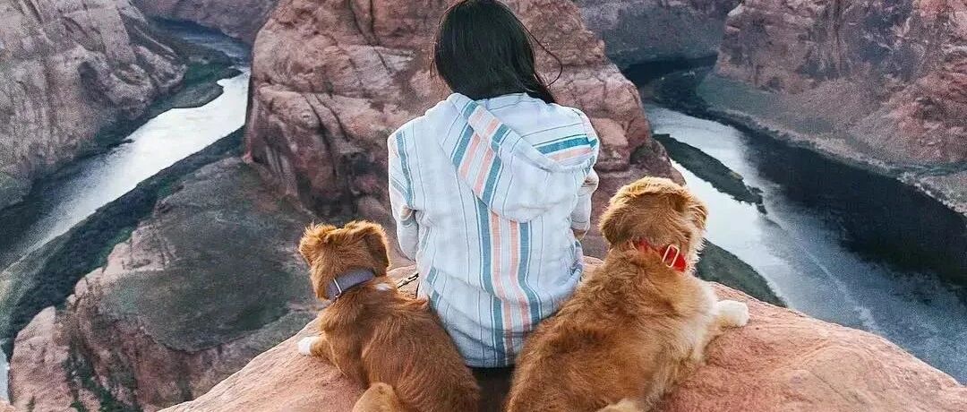 下岗职工再就业，迎来狗生第二春！