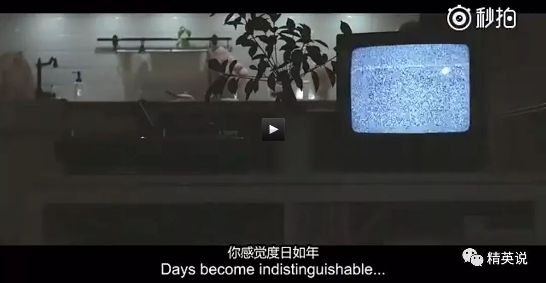 普林斯顿19岁华裔男生自杀：20万留学生正在国外假装生活（组图） - 9