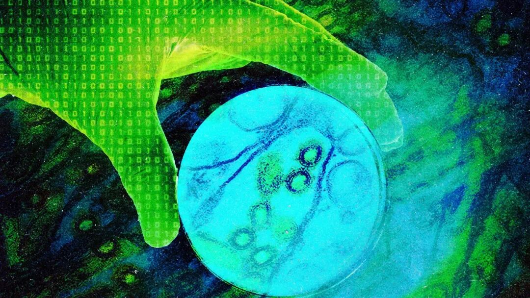 A photo illustration shows a gloved hand covered in binary code holding a petri dish with bird flu.