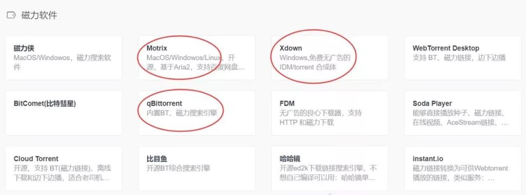 新年第一神站，一网打尽全网300+优质资源站