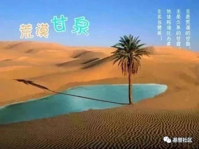 每日灵修 荒漠甘泉 之10月15日 基督社区 微信公众号文章阅读 Wemp