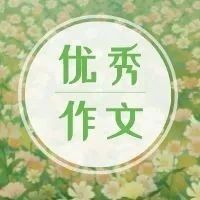 优秀作文 :​《当老师不在教室》《​放鞭炮》《​吊兰》《雷锋叔叔，您在哪里》《》