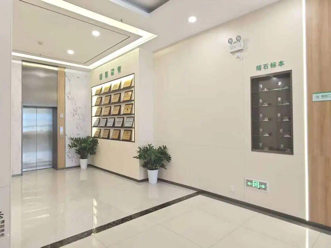 魏敏院长应邀出席江汉区开业医师协会主题党日活动 共商区域医疗协同发展新路径