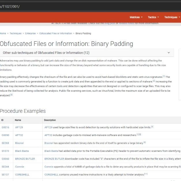 Example Image