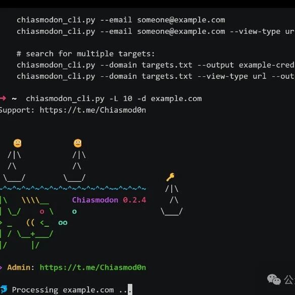 Example Image