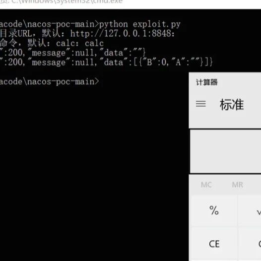 Example Image