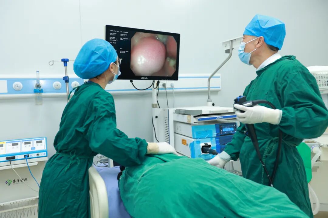 什么是260胃镜专家进驻，胃镜当天做，肠镜次日做！_https://www.jmylbn.com_新闻资讯_第6张