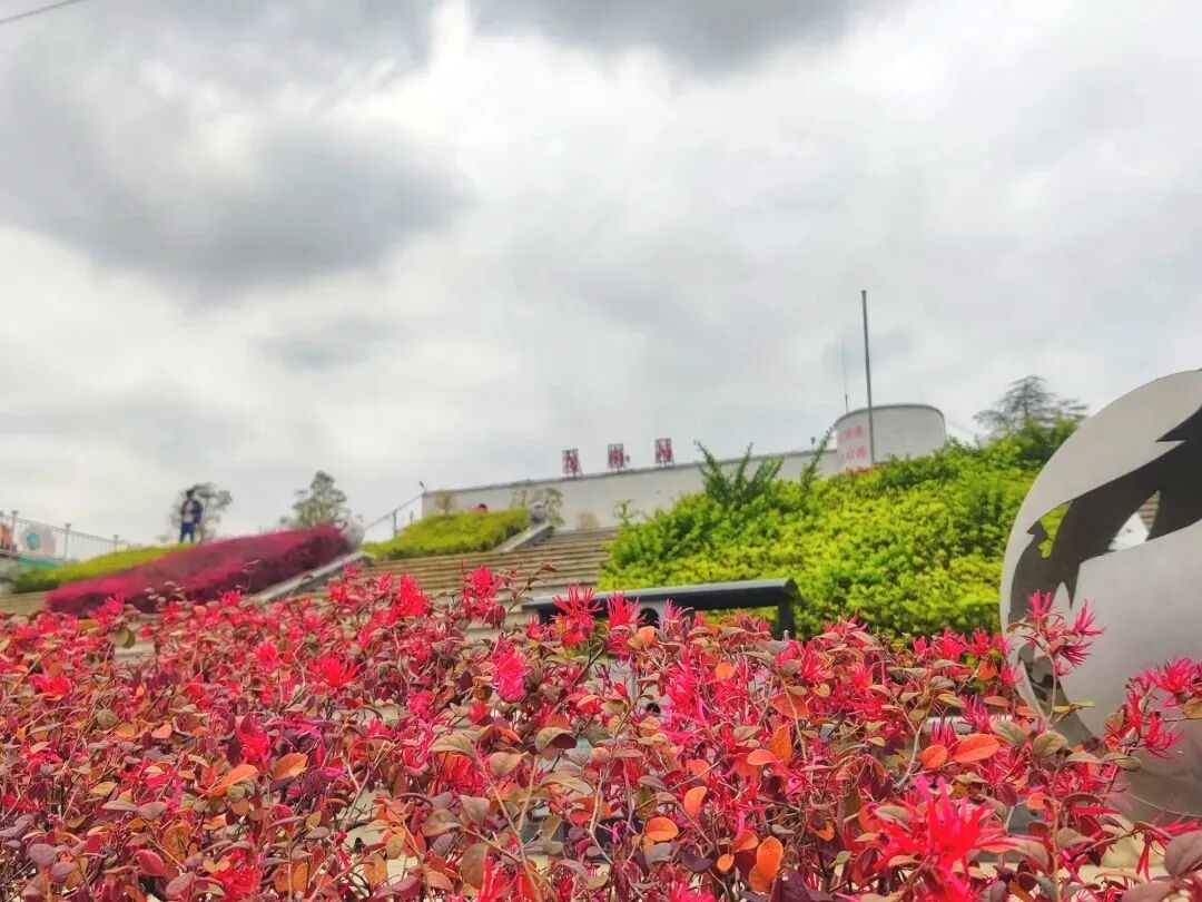 最美|探秘铁路“超级工程”！“发现最美铁路”明日出发！