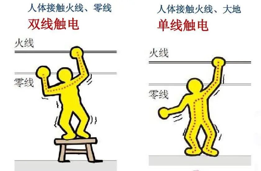 鸟儿站在高压线上，为什么不会触电？的图25