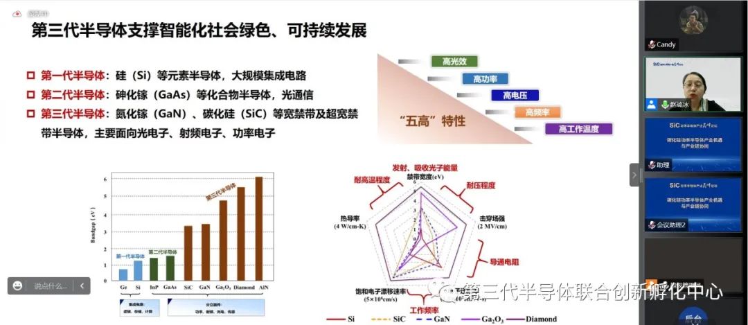 SiC功率半导体产业高峰论坛成功举办的图11