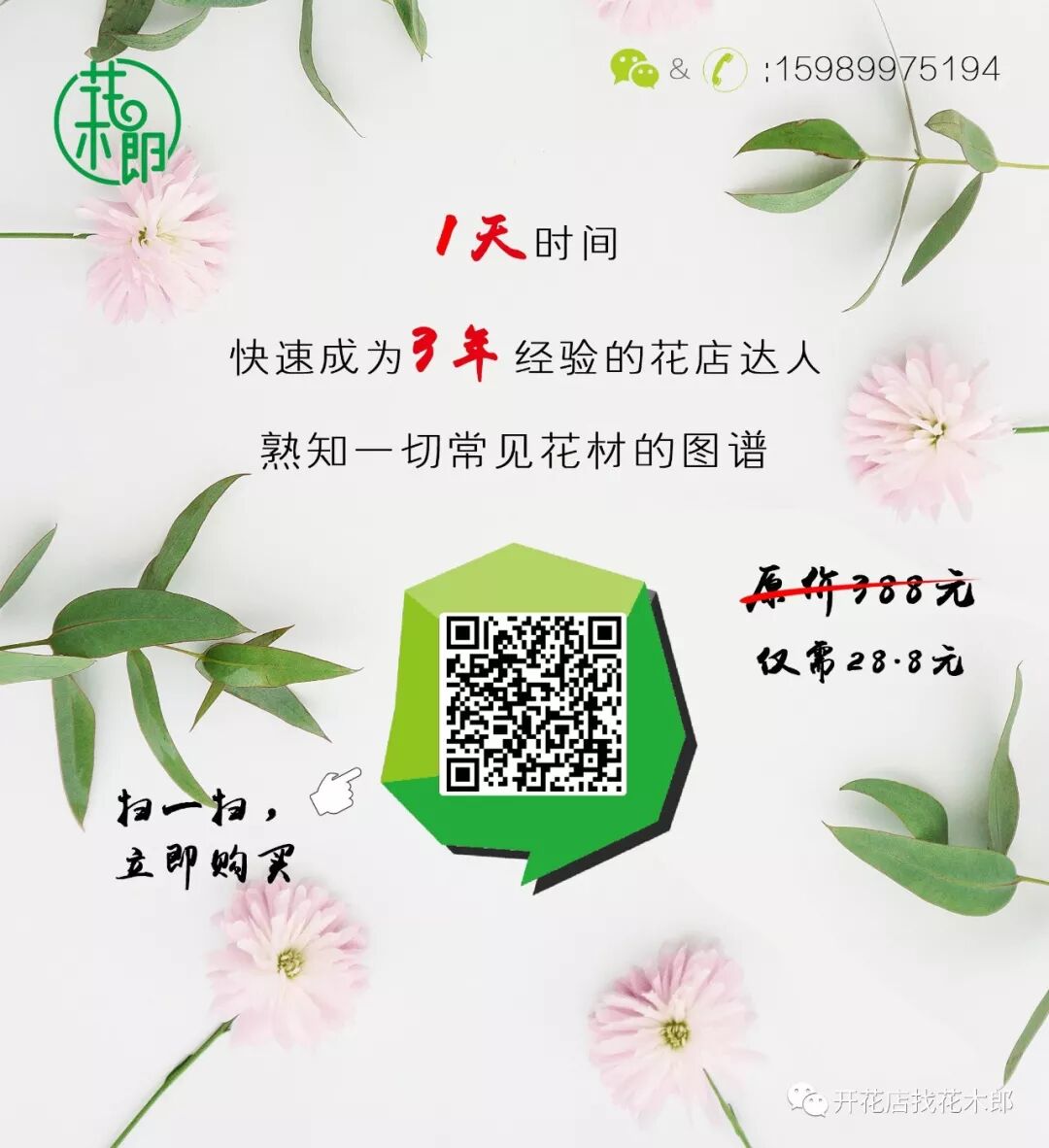 花木郎：会变色的粉玫瑰玛利亚，其实是一个男人的名字？