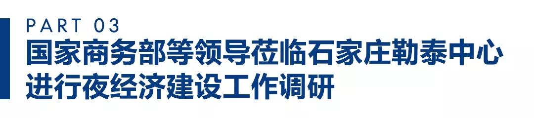 石家庄勒泰集团杨龙飞_石家庄勒泰集团非法集资_石家庄勒泰杨少明