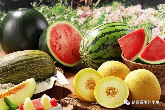 吃瓜吃料网_吃瓜资讯_吃瓜料网网站