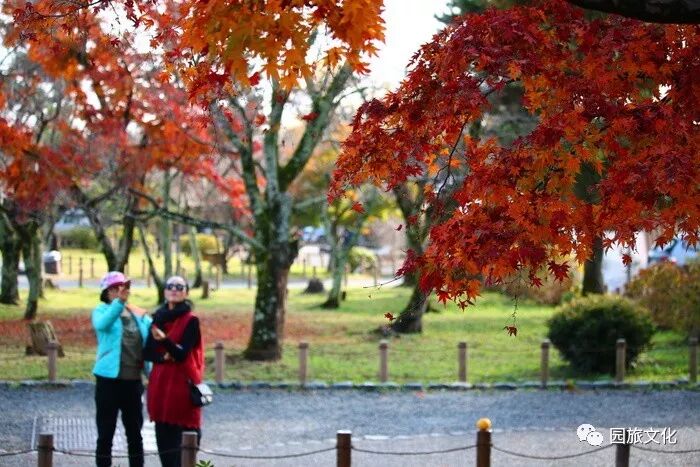 日本丨京都篇