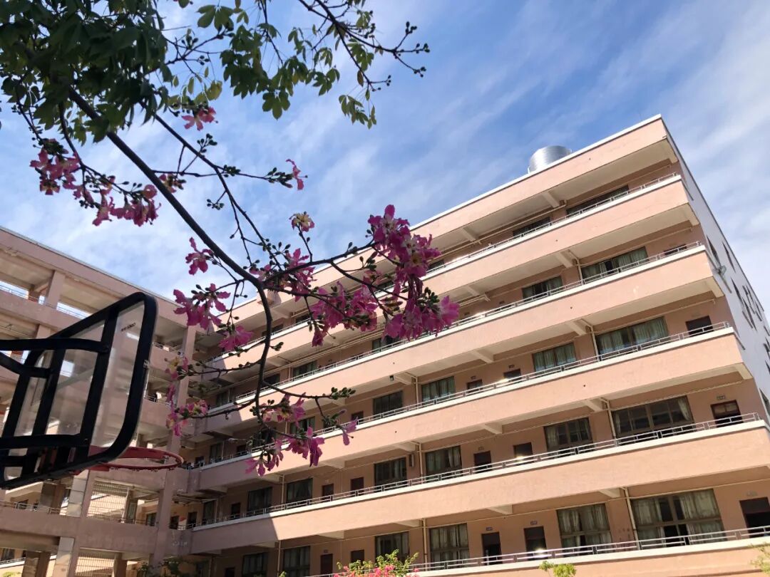 茂名市电白区育贤学校2023年春教师招聘公告_招聘信息-今日招聘网