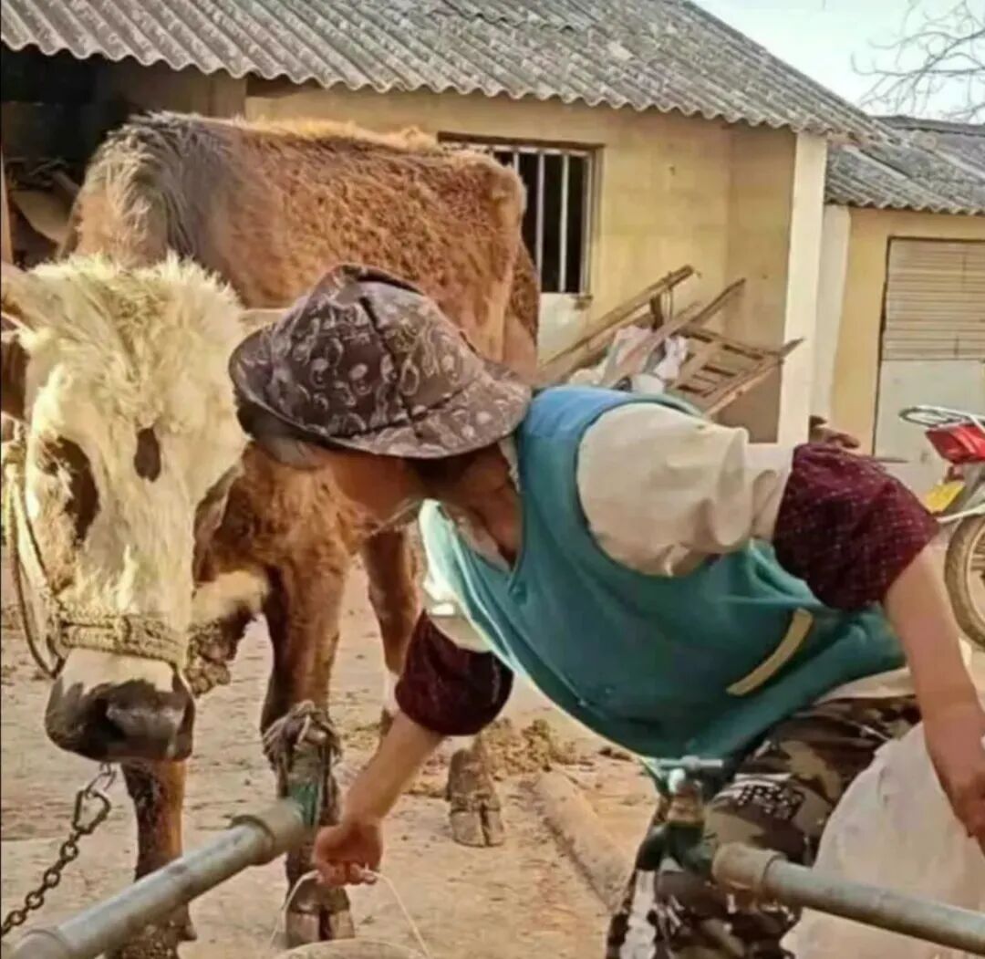 网红小英被曝大瓜，贫穷人设崩塌，背后真相令人震惊