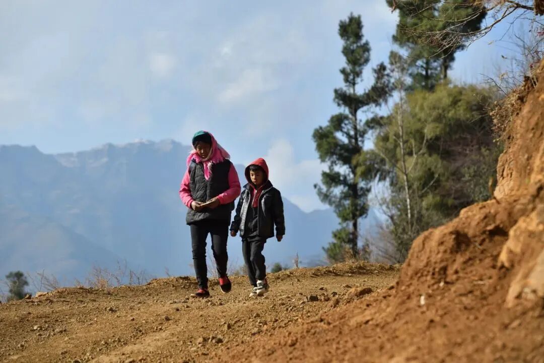 药山里的“快乐鸟”