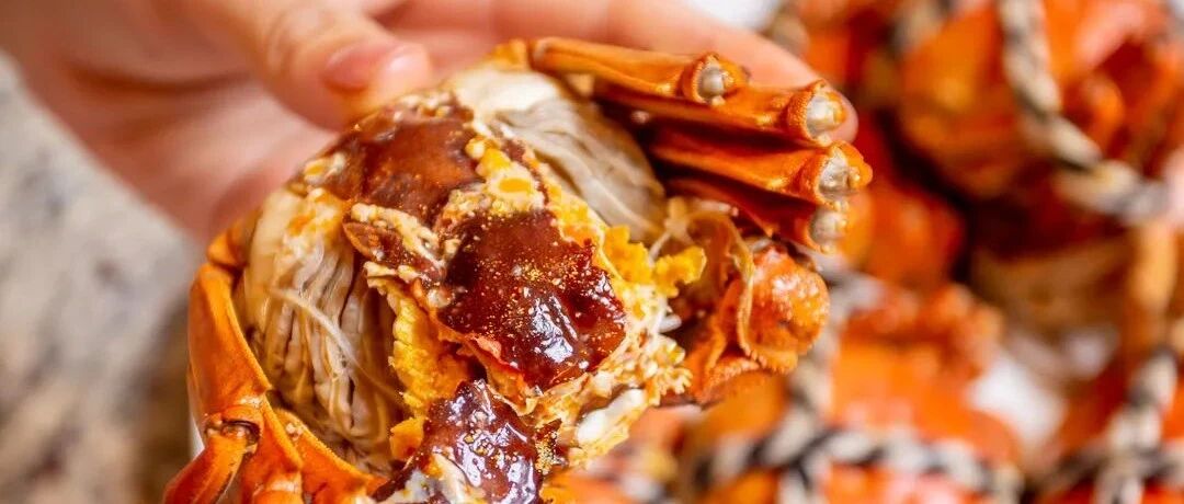 不是吧不是吧，它居然打折了，12元就能吃！