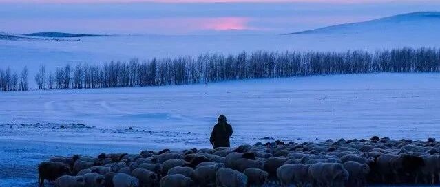 雪҈雪҈​雪҈雪҈雪҈   ,『国内观雪地图』已出炉！快收藏~