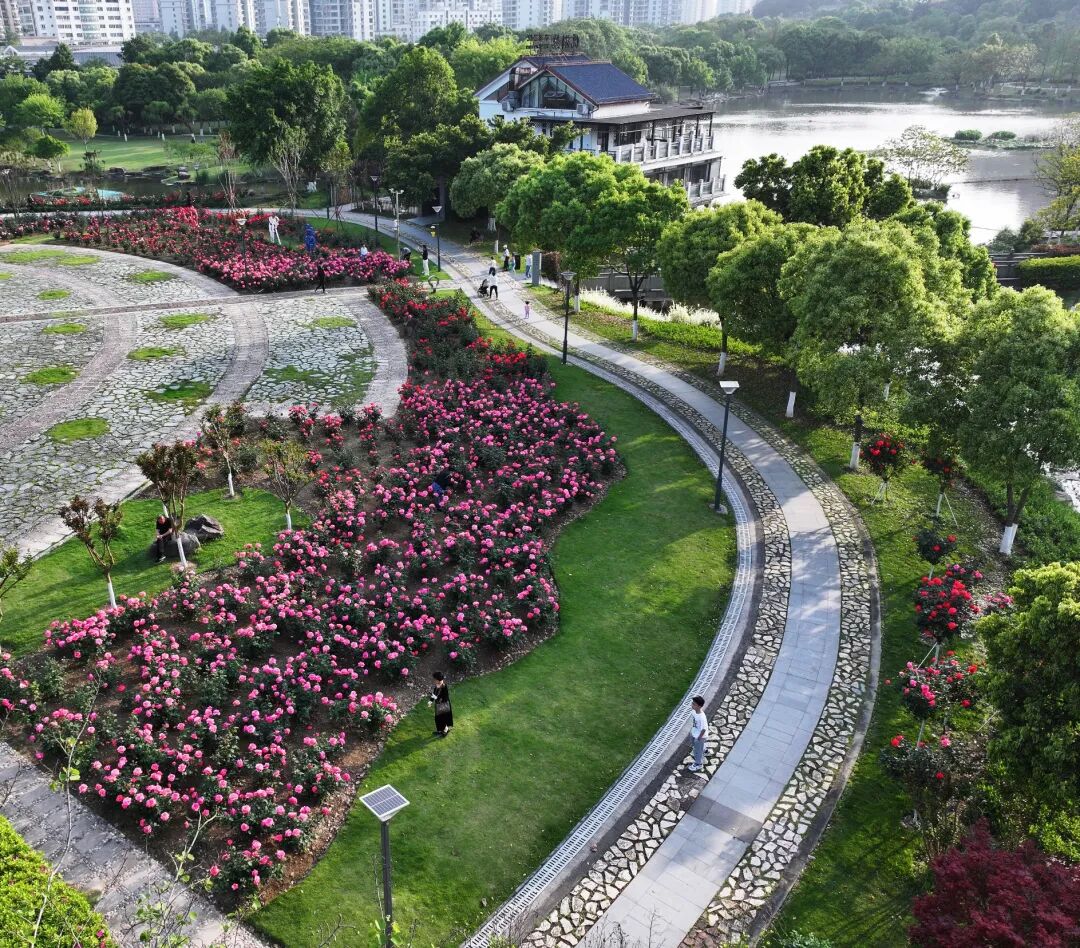 市区各大公园让我们在奔跑中释放多巴胺!