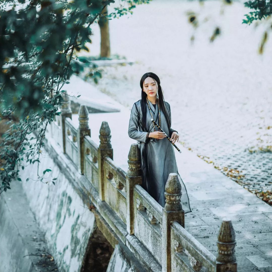 双重华盖星是什么意思_华盖是什么意思_八字带华盖是什么意思