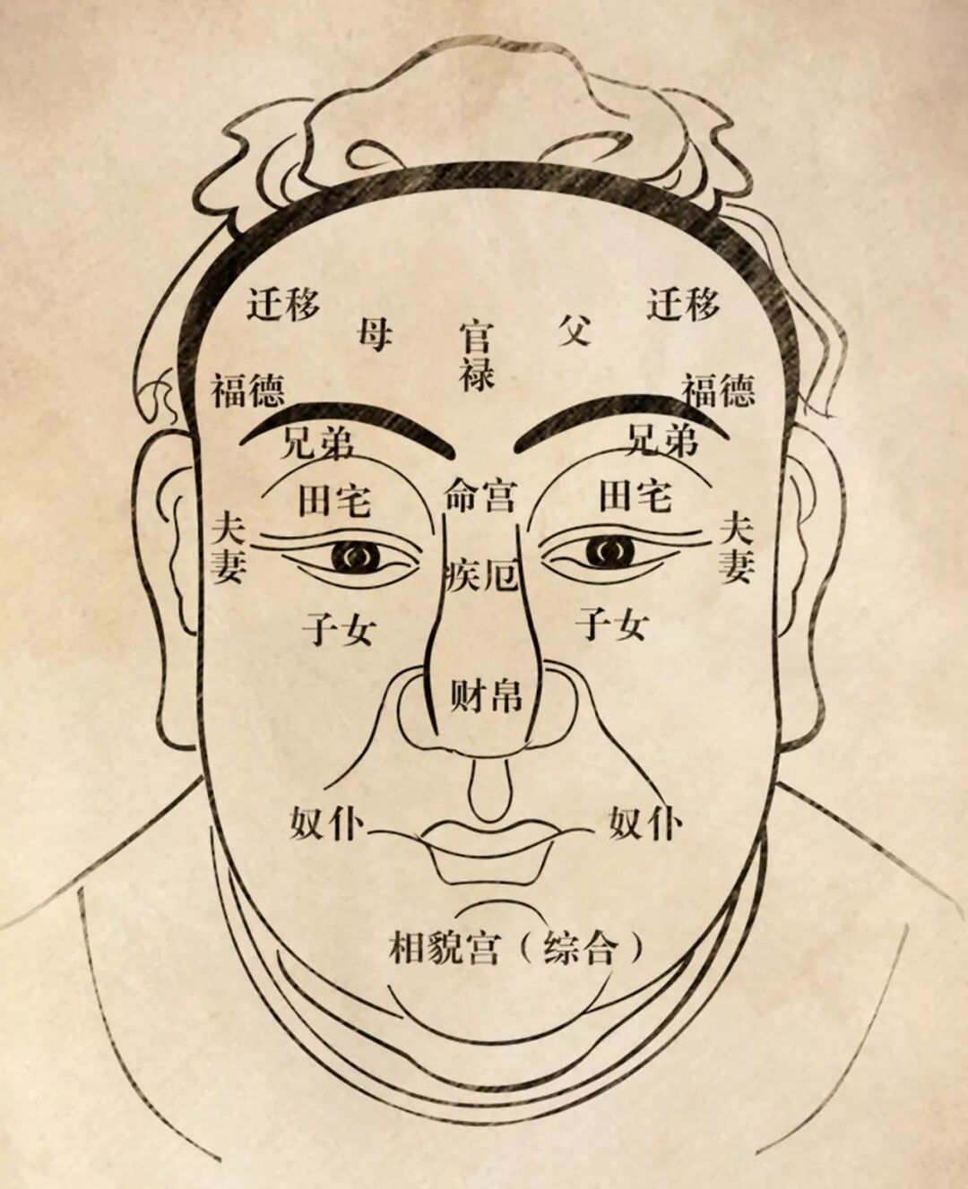 你的脸上有阴德纹吗？